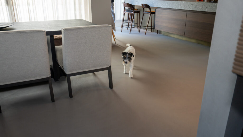Dog walking in modern interior space
