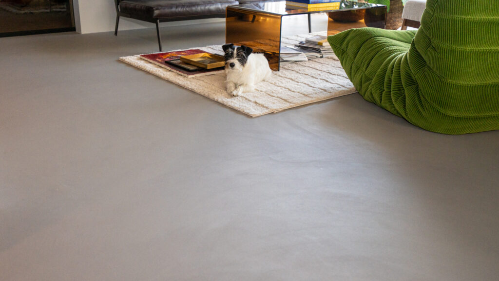 Dog resting on a modern rug