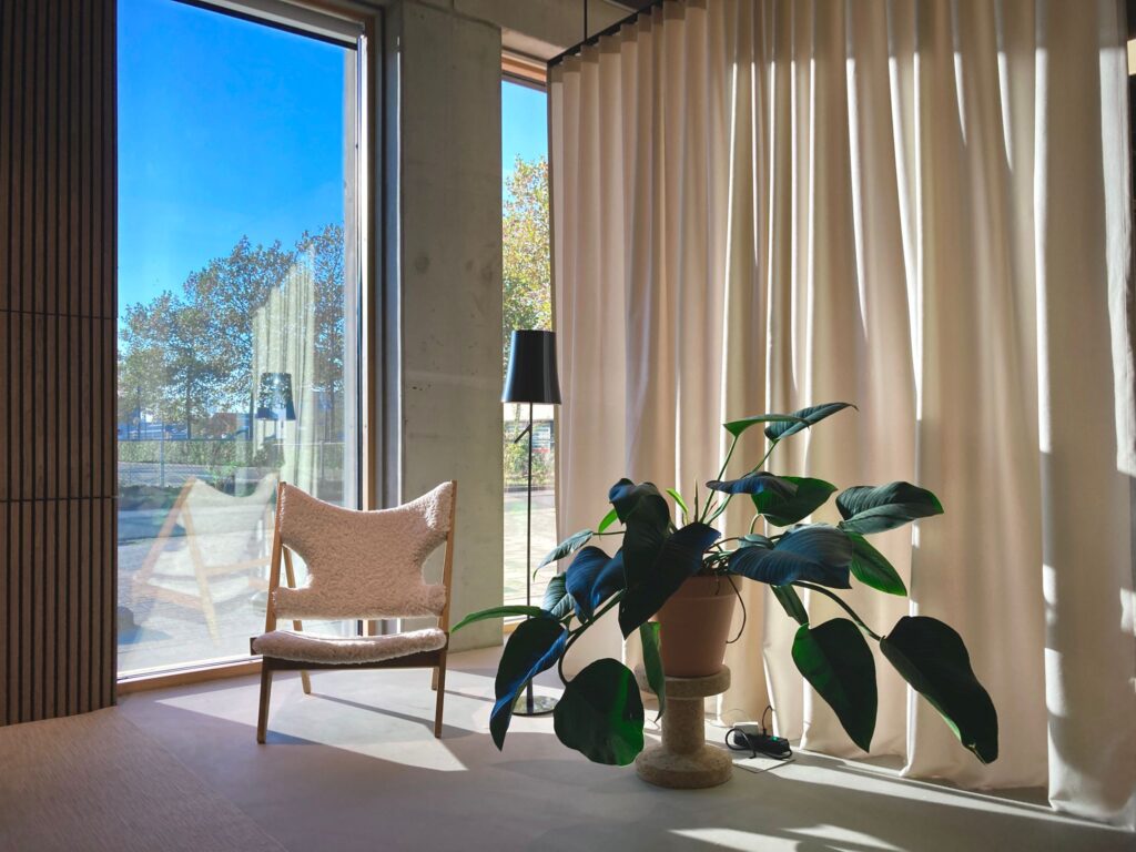 Cozy interior with plant and chair